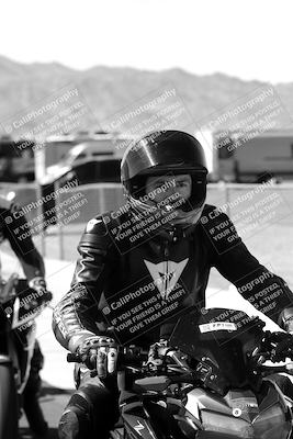 media/Mar-08-2025-TrackXperience (Sat) [[277b597a28]]/1-Around the Pits - Pre Grid/